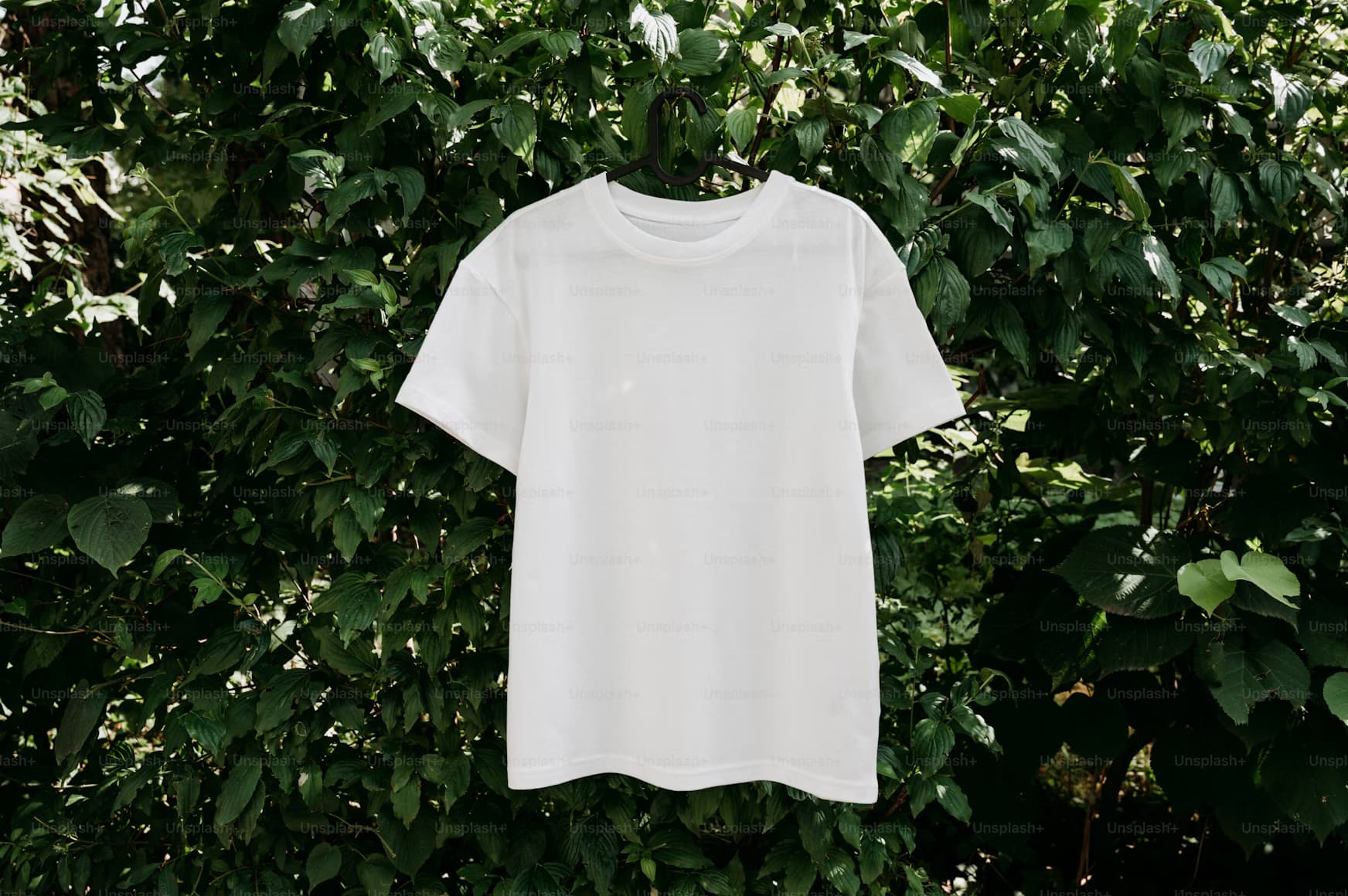 Minimalist Design